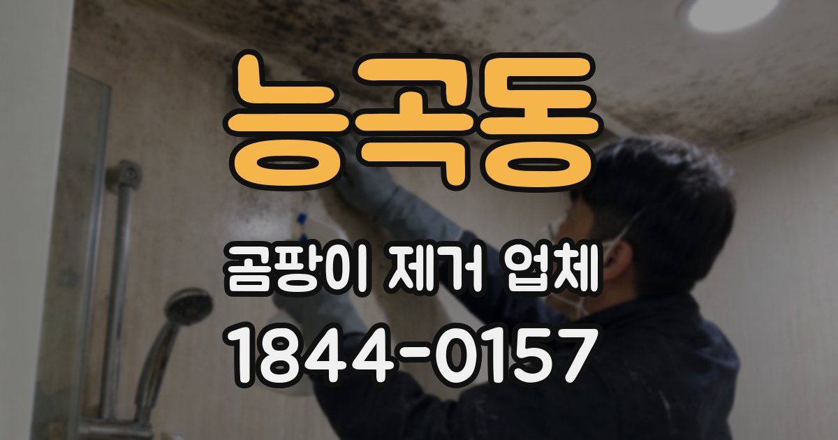 능곡동 곰팡이 제거 업체