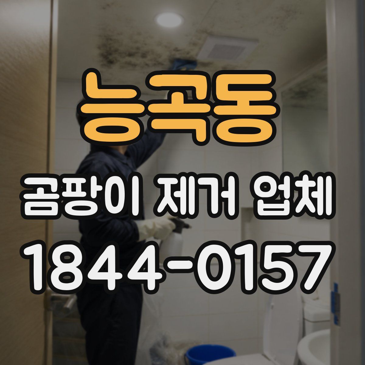 능곡동 곰팡이 제거 업체