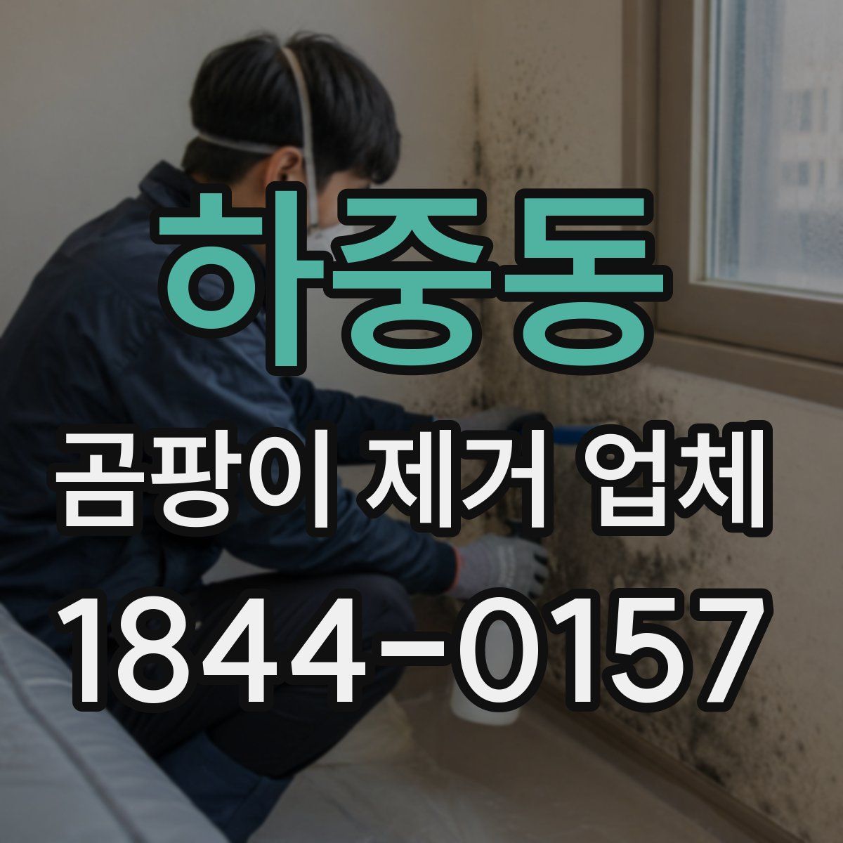 하중동 곰팡이 제거 업체