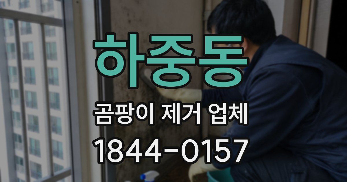 하중동 곰팡이 제거 업체