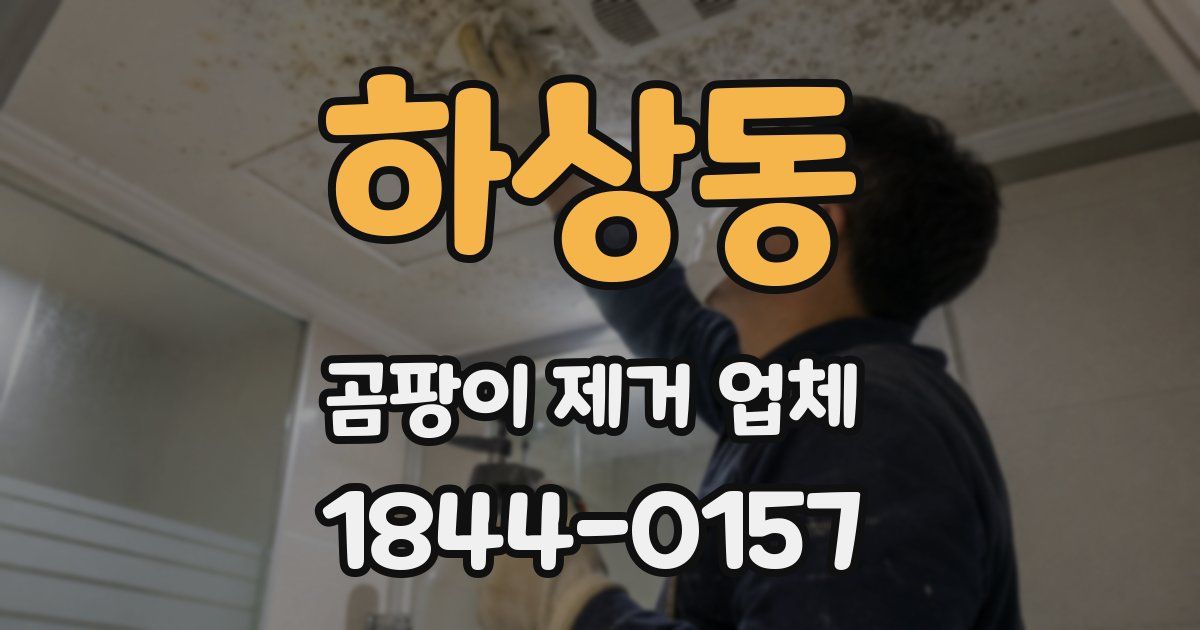 하상동 곰팡이 제거 업체