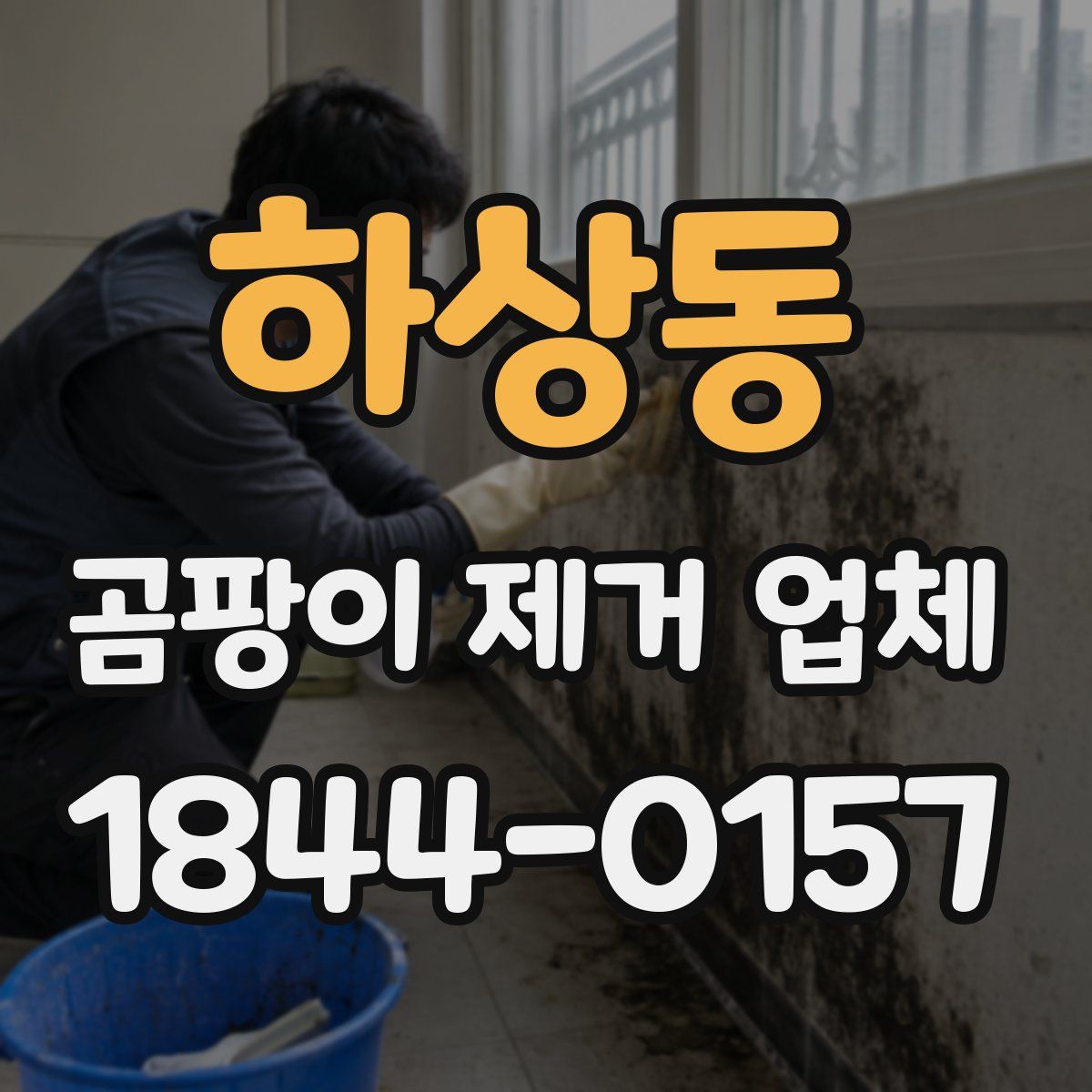 하상동 곰팡이 제거 업체