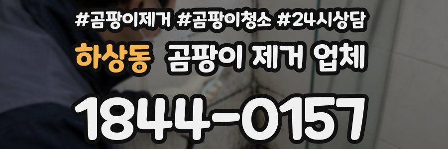 하상동 곰팡이 제거 업체