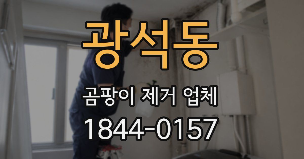 광석동 곰팡이 제거 업체