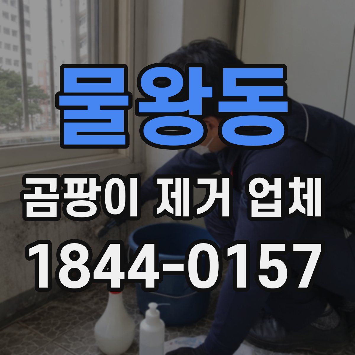 물왕동 곰팡이 제거 업체