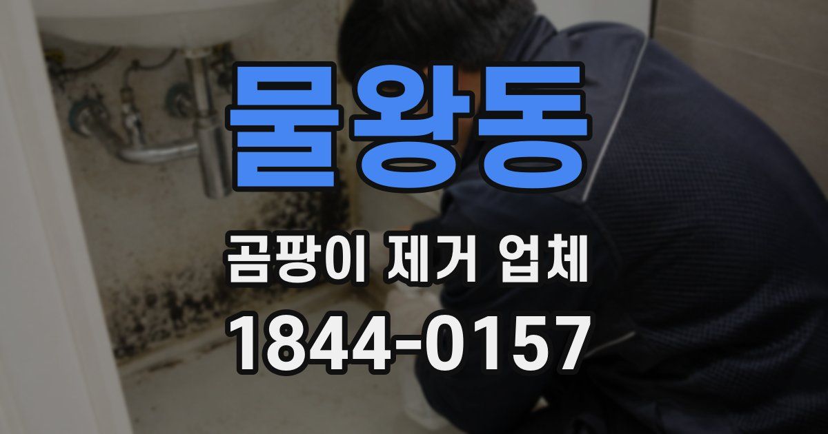 물왕동 곰팡이 제거 업체