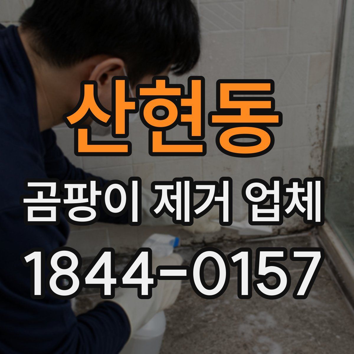 산현동 곰팡이 제거 업체