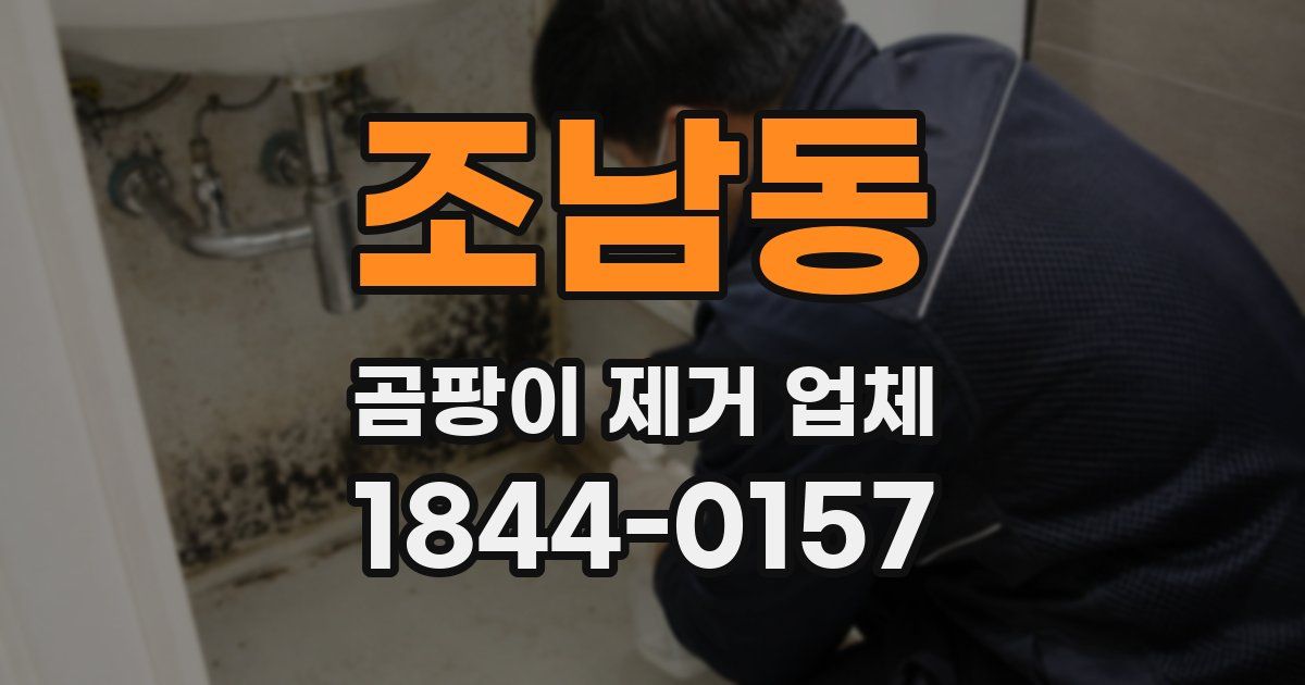 조남동 곰팡이 제거 업체