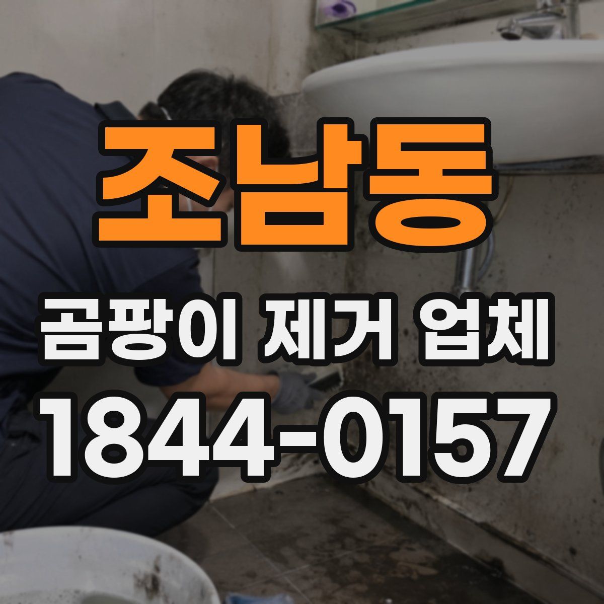조남동 곰팡이 제거 업체