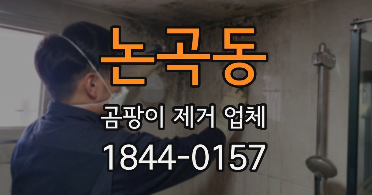 논곡동 곰팡이 제거 업체