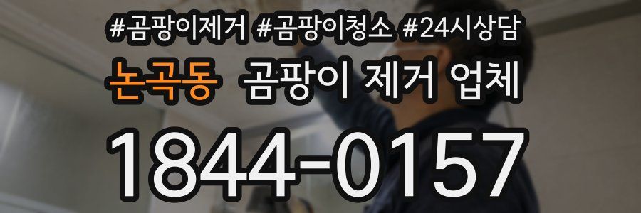 논곡동 곰팡이 제거 업체