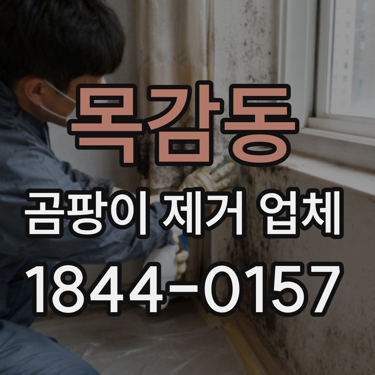 목감동 곰팡이 제거 업체