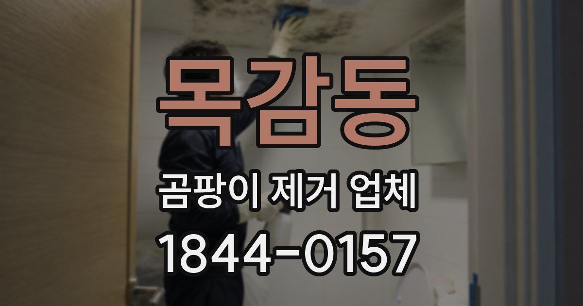 목감동 곰팡이 제거 업체