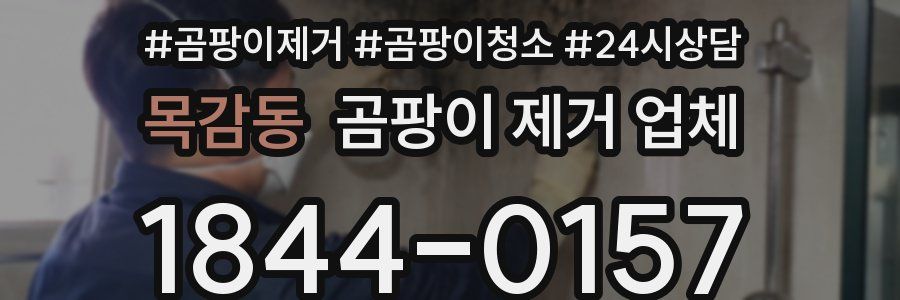 목감동 곰팡이 제거 업체