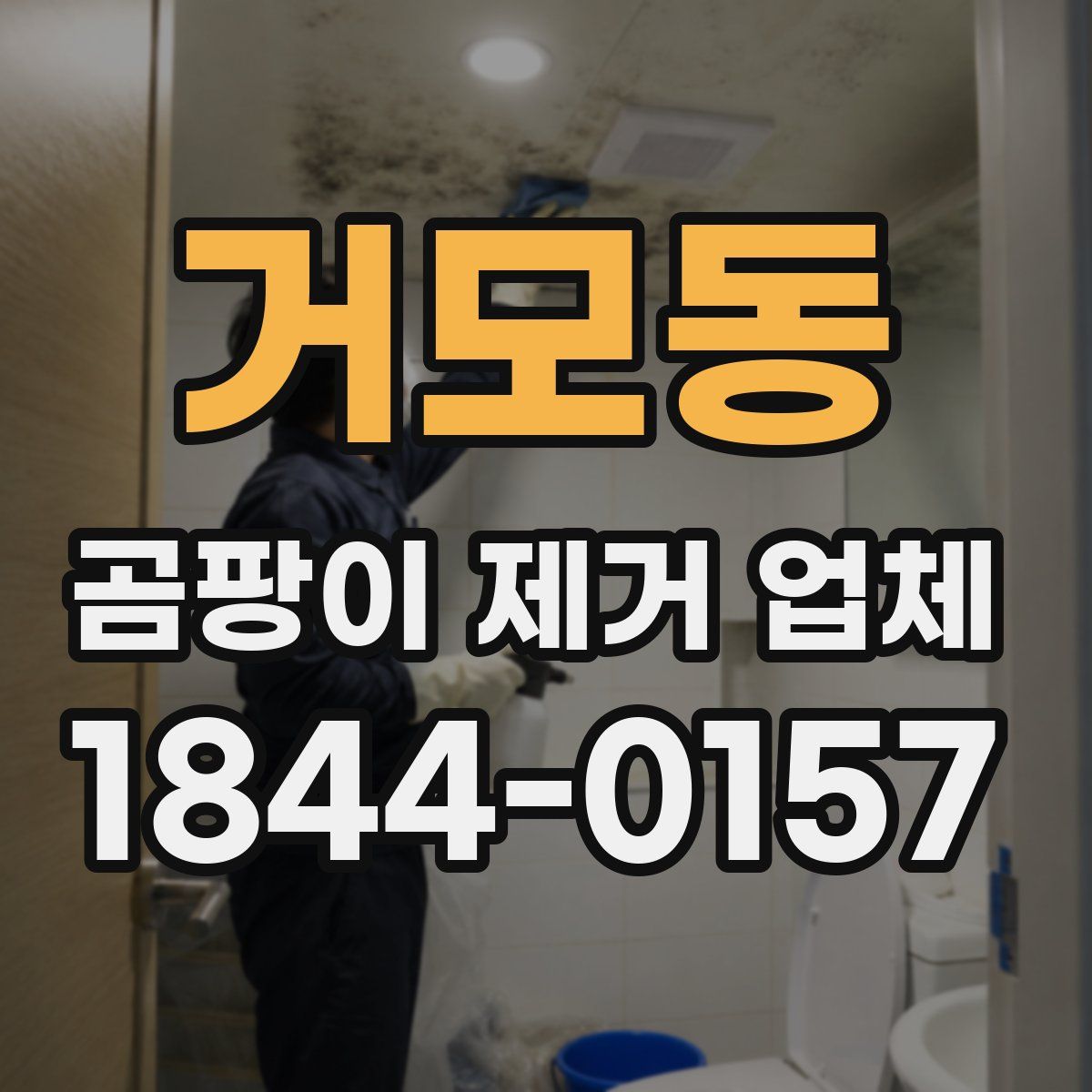 거모동 곰팡이 제거 업체