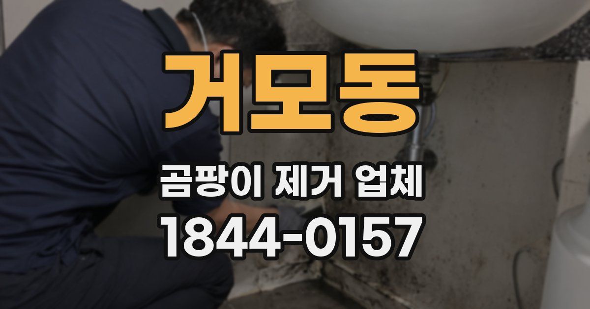 거모동 곰팡이 제거 업체