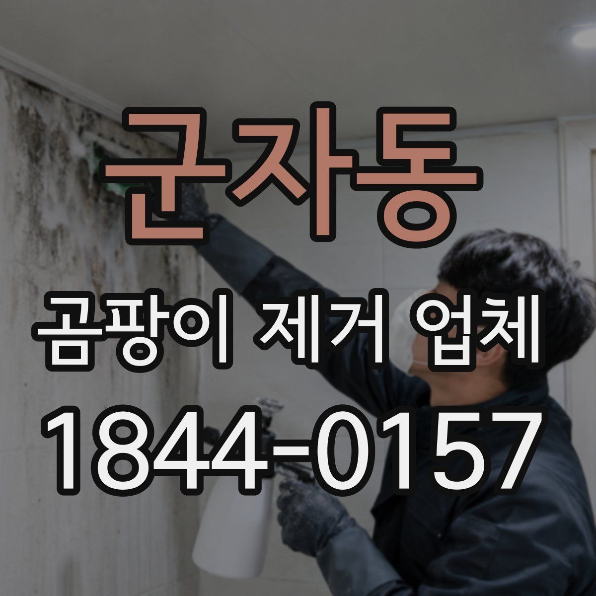 군자동 곰팡이 제거 업체