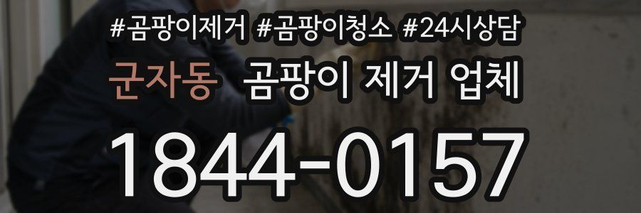군자동 곰팡이 제거 업체
