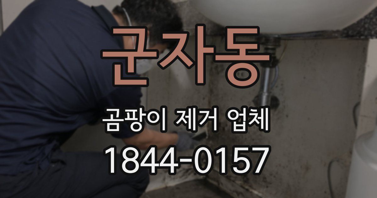 군자동 곰팡이 제거 업체