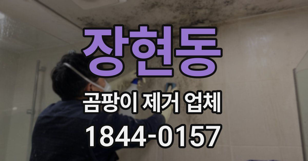 장현동 곰팡이 제거 업체