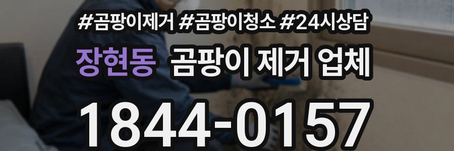 장현동 곰팡이 제거 업체