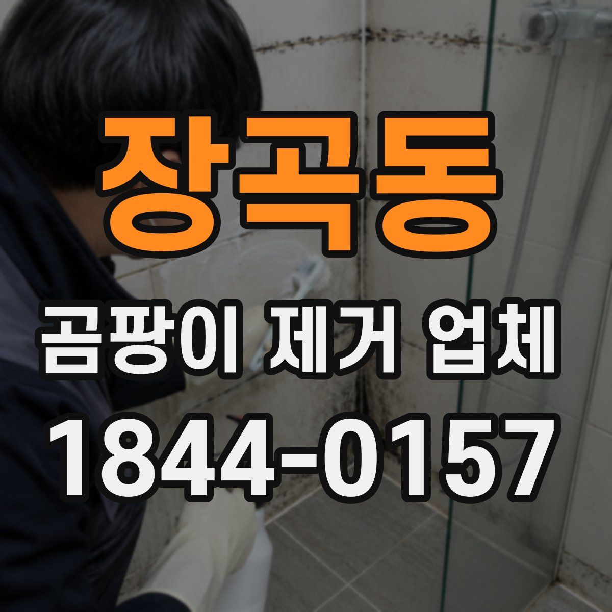 장곡동 곰팡이 제거 업체