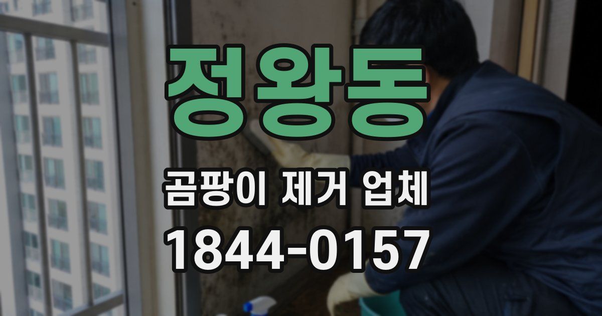 정왕동 곰팡이 제거 업체