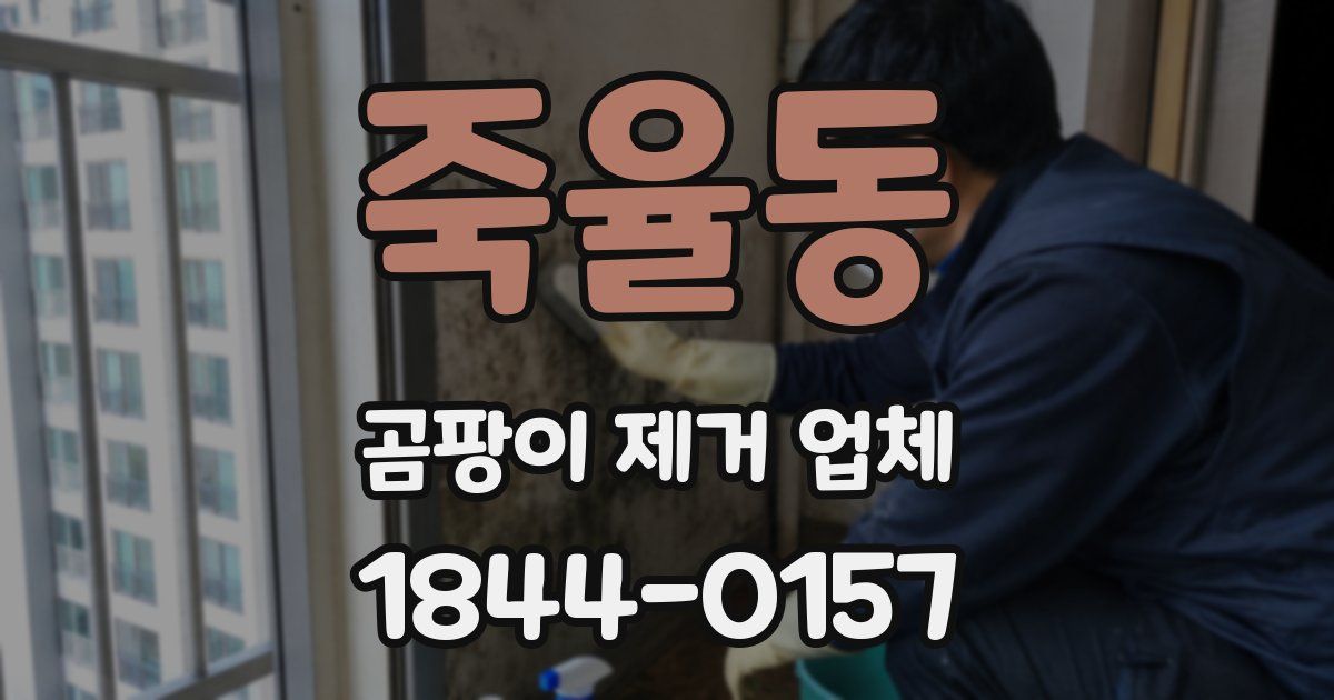 죽율동 곰팡이 제거 업체