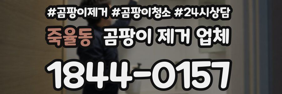 죽율동 곰팡이 제거 업체