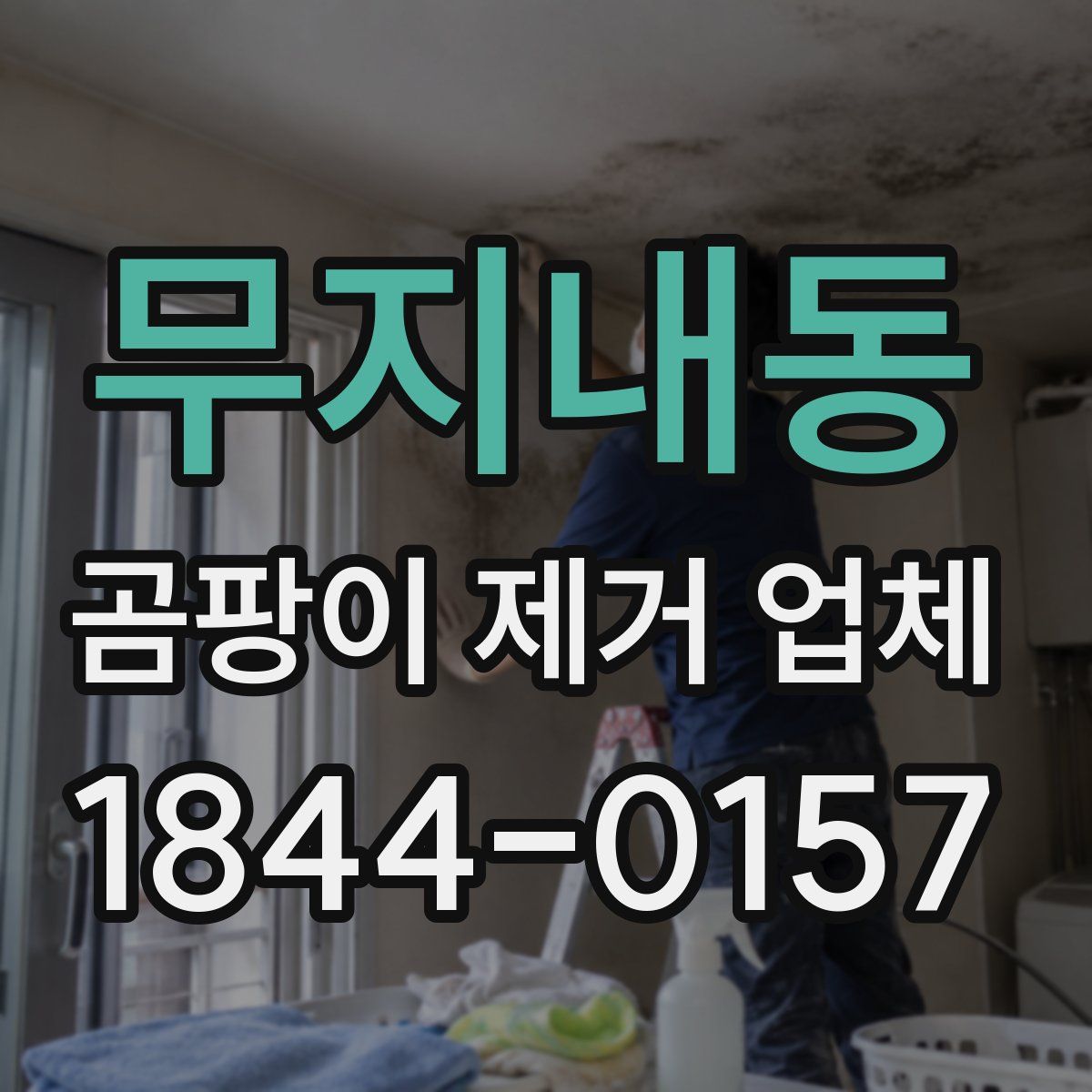 무지내동 곰팡이 제거 업체