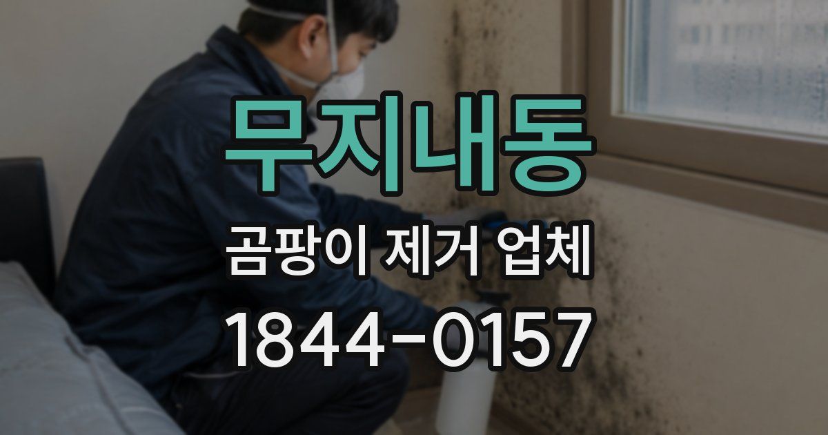 무지내동 곰팡이 제거 업체