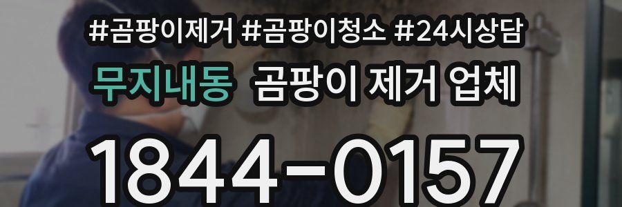 무지내동 곰팡이 제거 업체