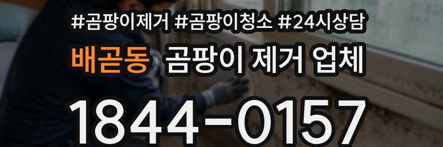 배곧동 곰팡이 제거 업체