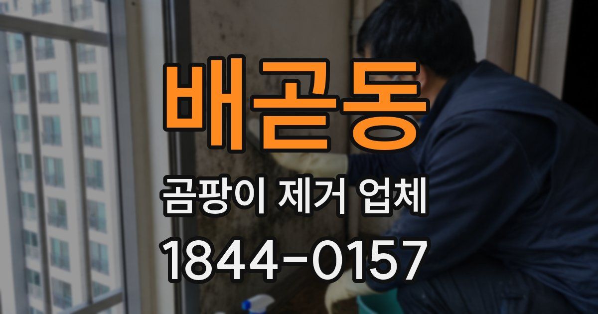 배곧동 곰팡이 제거 업체
