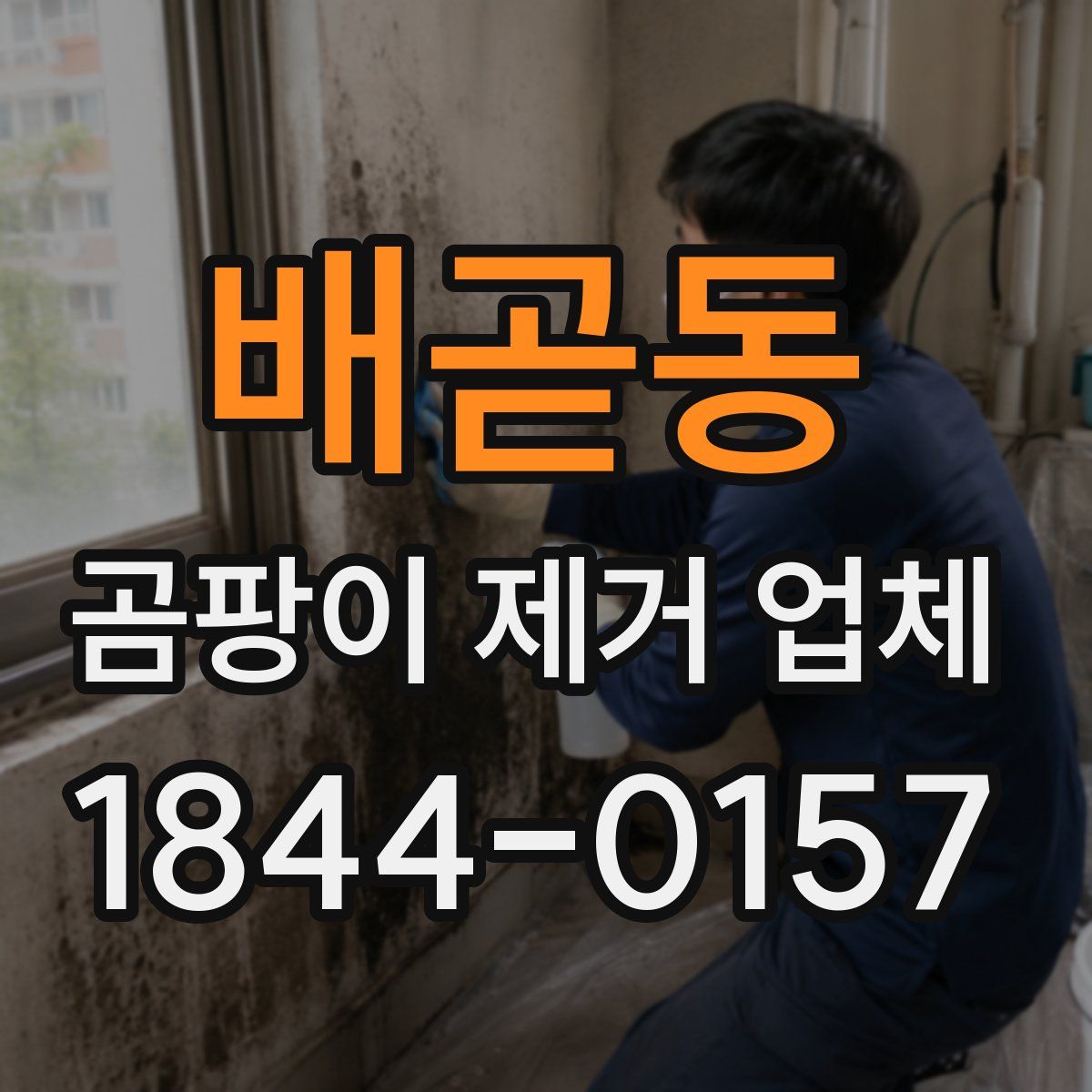 배곧동 곰팡이 제거 업체