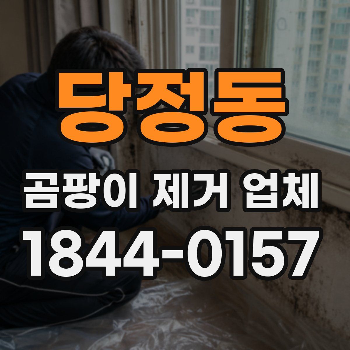 당정동 곰팡이 제거 업체