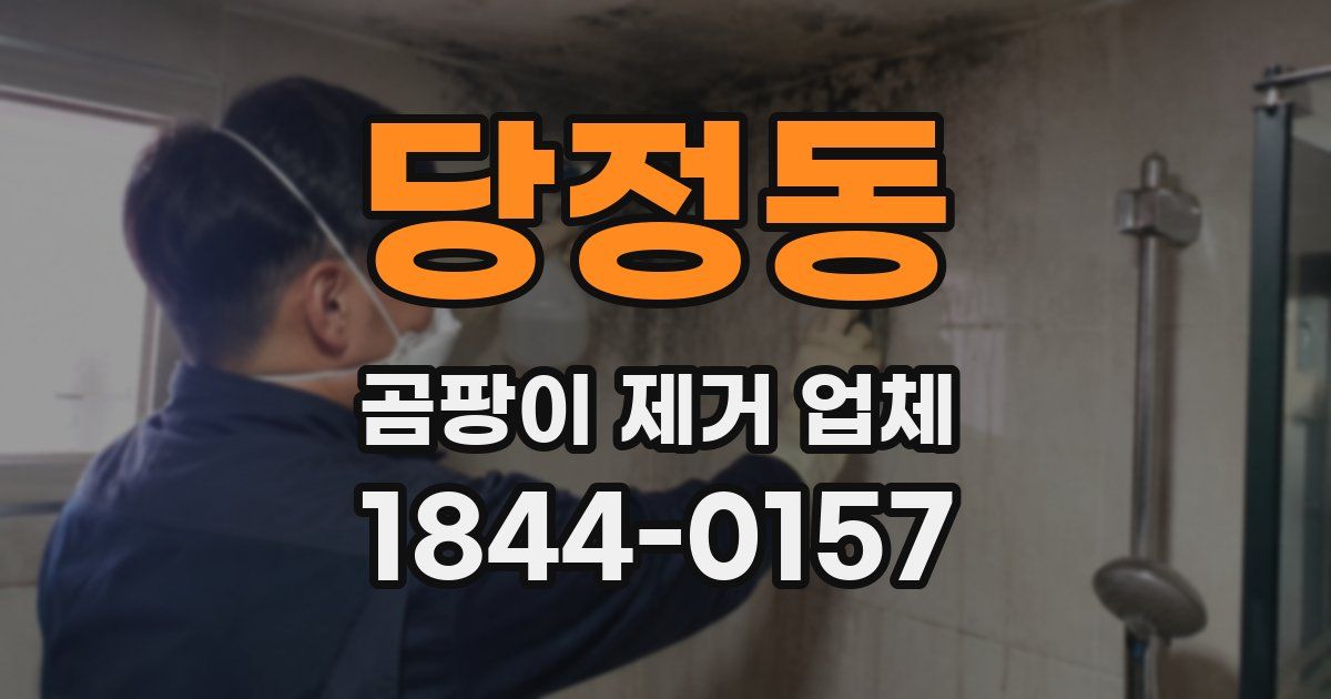 당정동 곰팡이 제거 업체