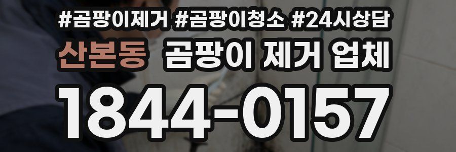 산본동 곰팡이 제거 업체