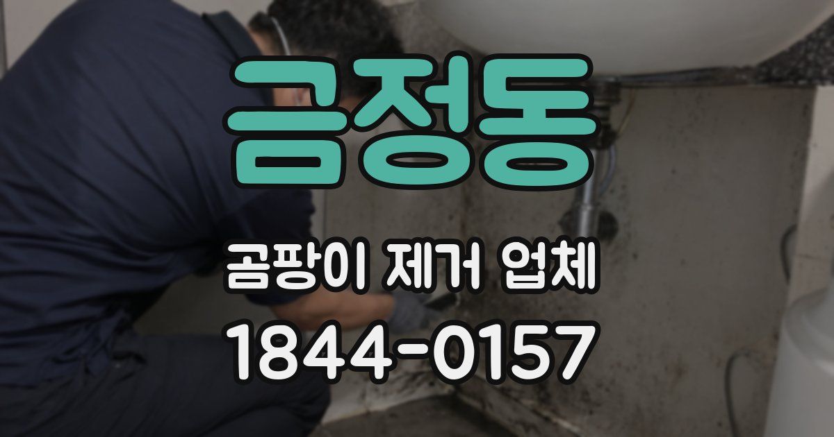 금정동 곰팡이 제거 업체