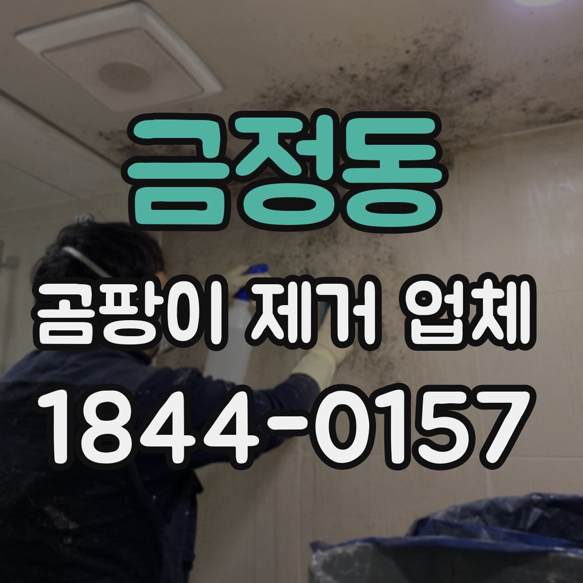 금정동 곰팡이 제거 업체