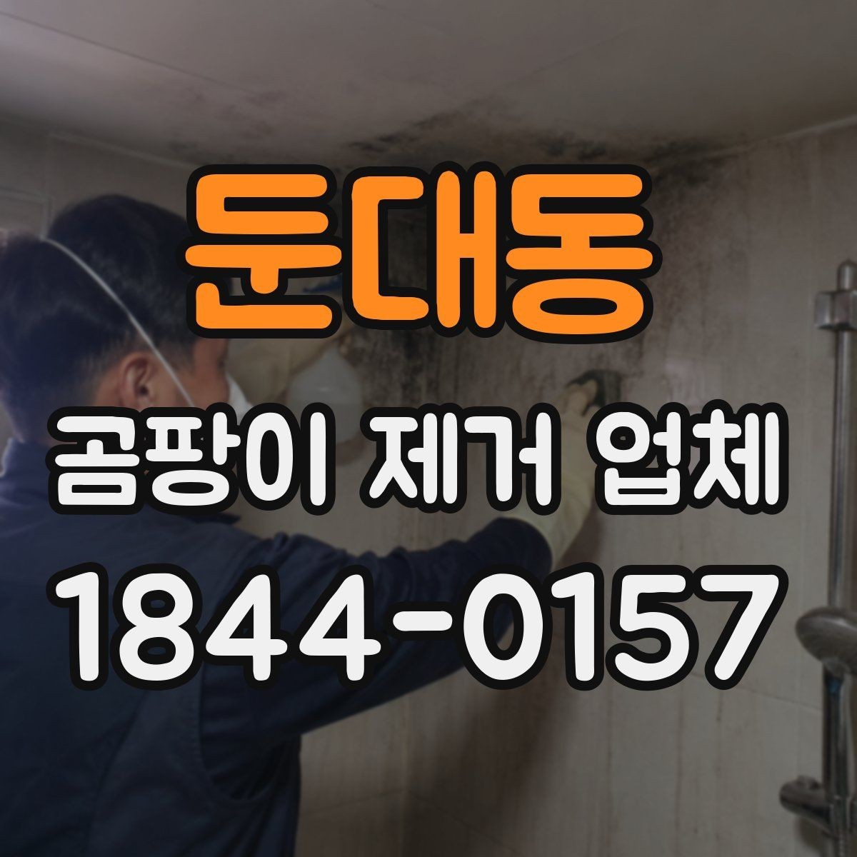 둔대동 곰팡이 제거 업체 작업 전 사진진단으로 확인하는 현장 상태
