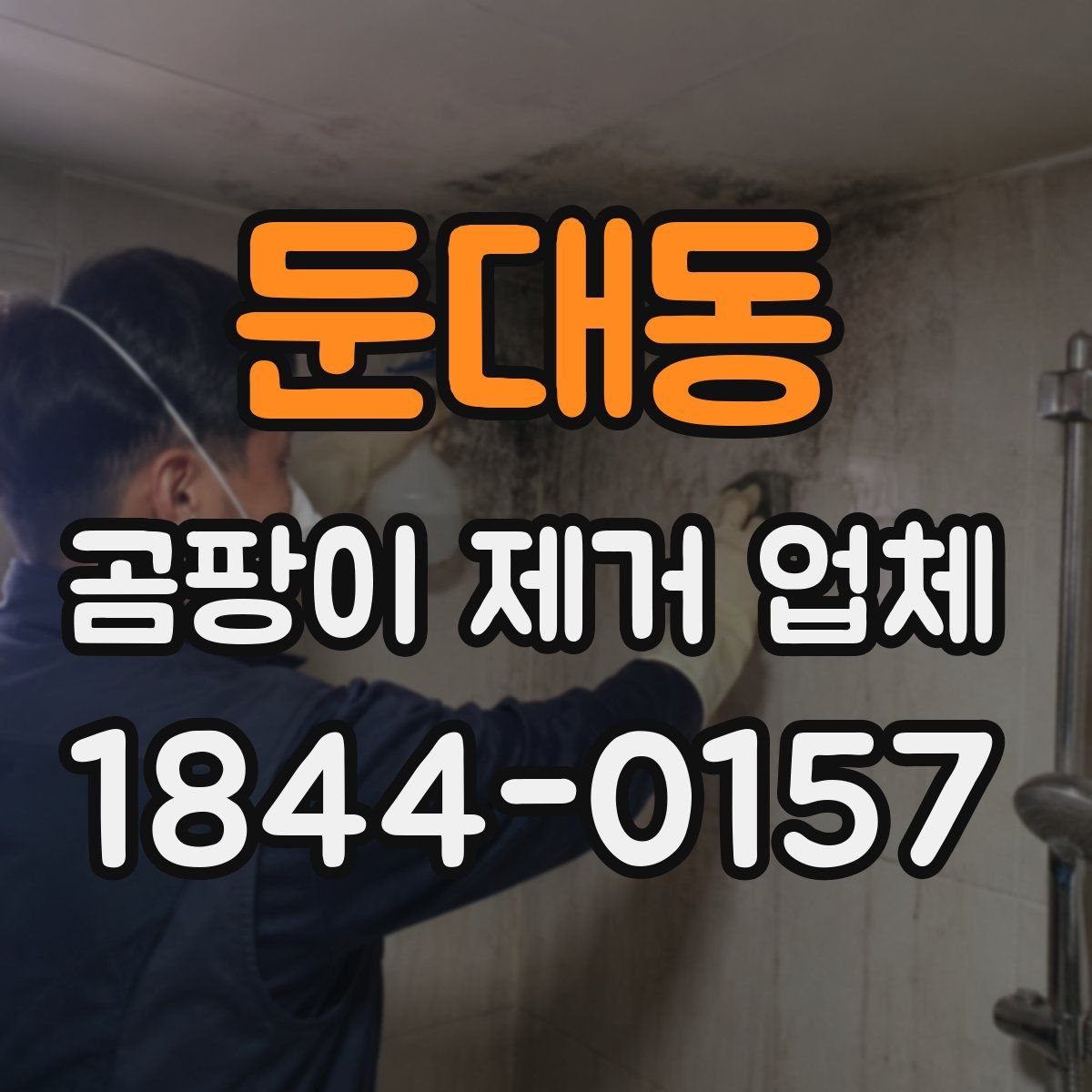 둔대동 곰팡이 제거 업체