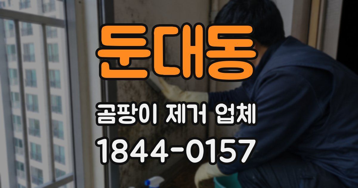 둔대동 곰팡이 제거 업체