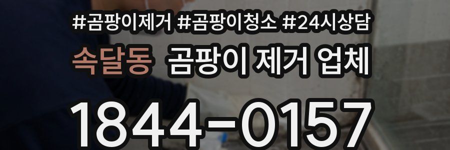 속달동 곰팡이 제거 업체