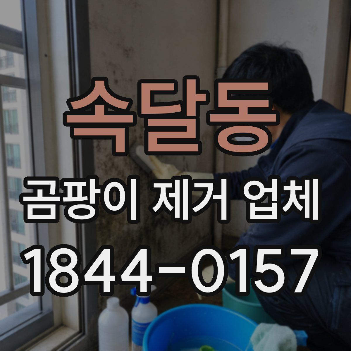 속달동 곰팡이 제거 업체