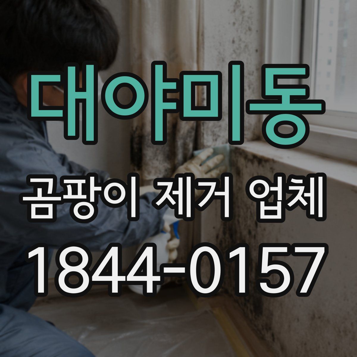 대야미동 곰팡이 제거 업체