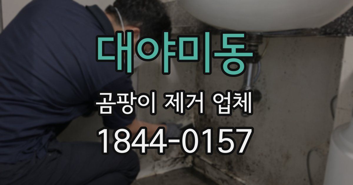 대야미동 곰팡이 제거 업체