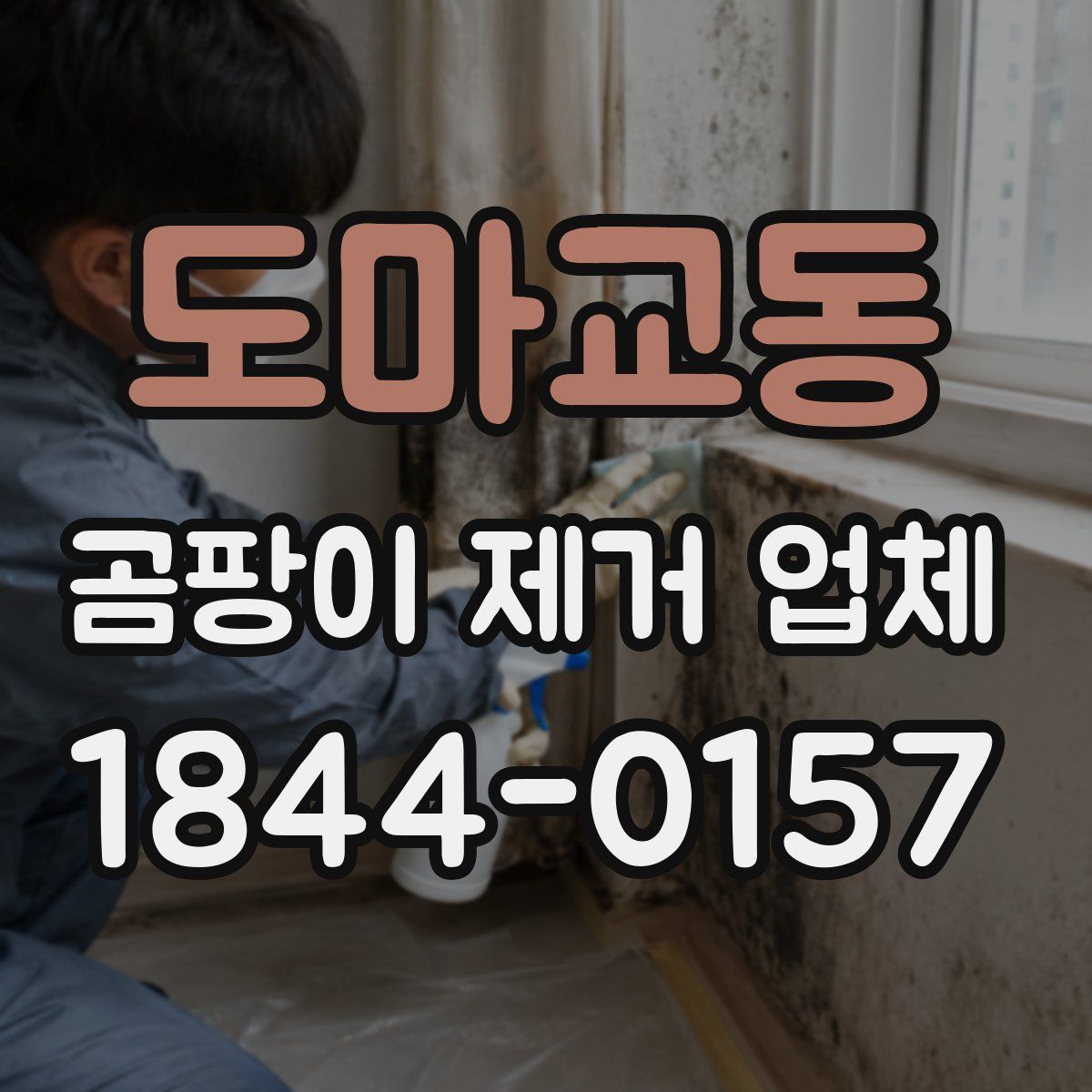 도마교동 곰팡이 제거 업체