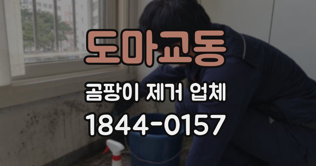 도마교동 곰팡이 제거 업체