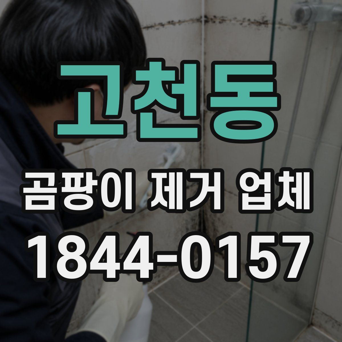 고천동 곰팡이 제거 업체